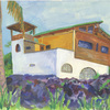 Elise Engler, House, Isabela, Galapagos, 2008